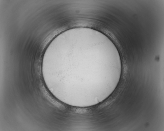 X0000115630890200912221247