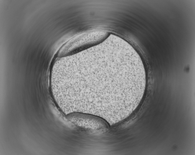 X0000115630892200912221247