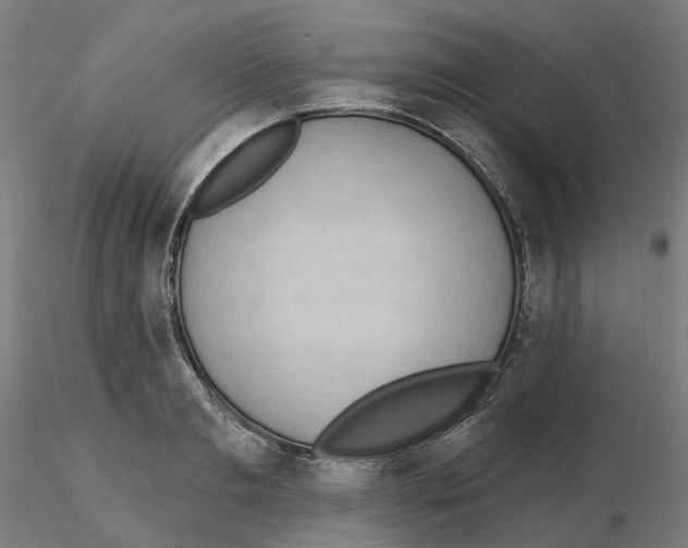 X0000115630893200912221247