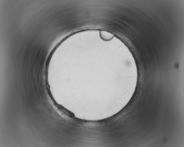 X0000115630894200912221247