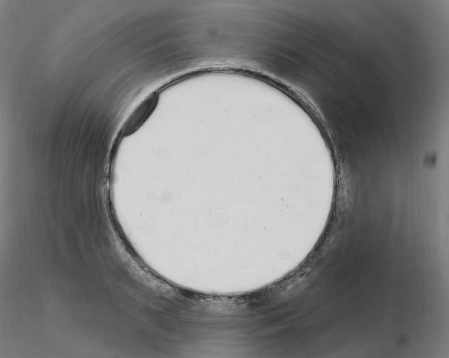 X0000115630895200912221247