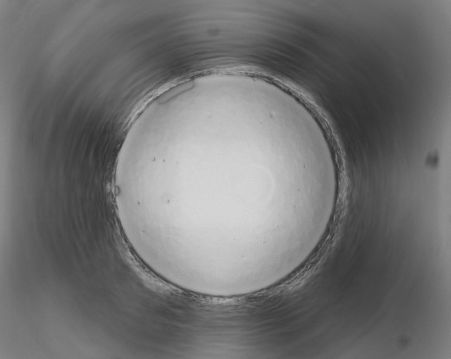 X0000115630897200912221247