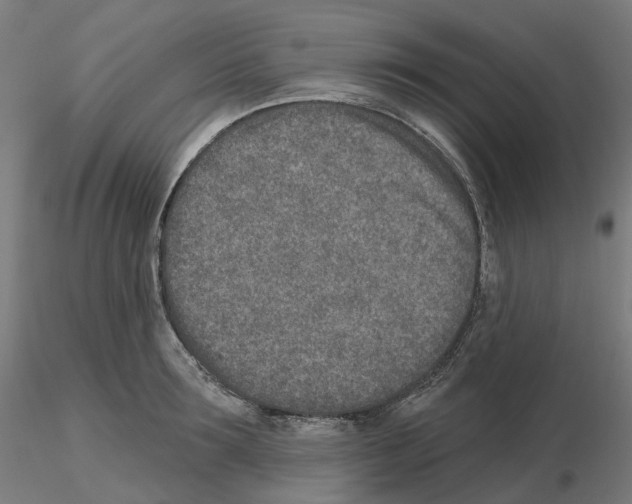 X0000115630899200912221247