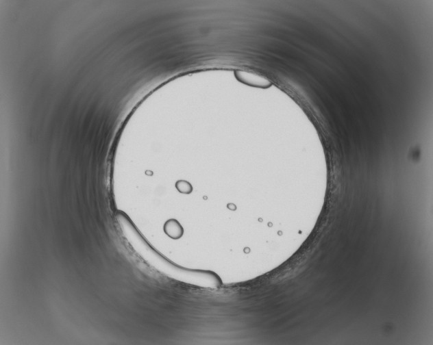 X0000115630900200912221246