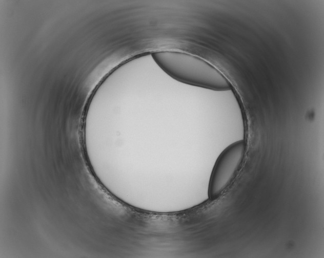 X0000115630901200912221246