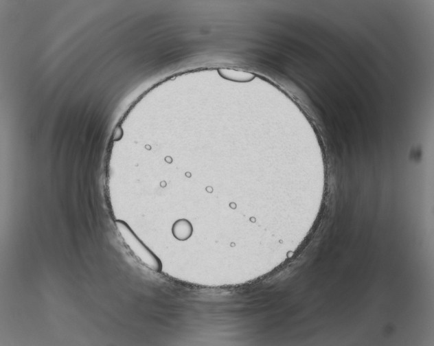 X0000115630904200912221246