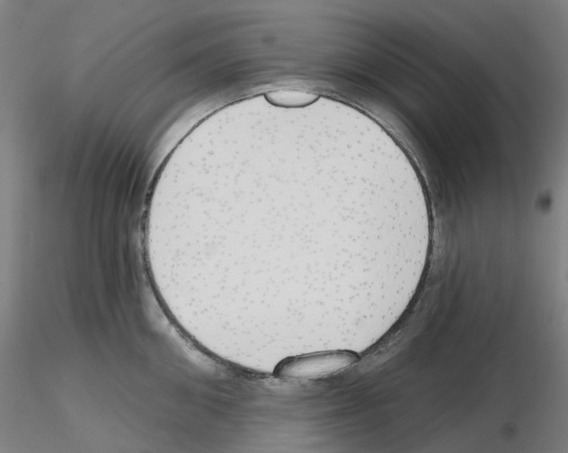 X0000115630906200912221246