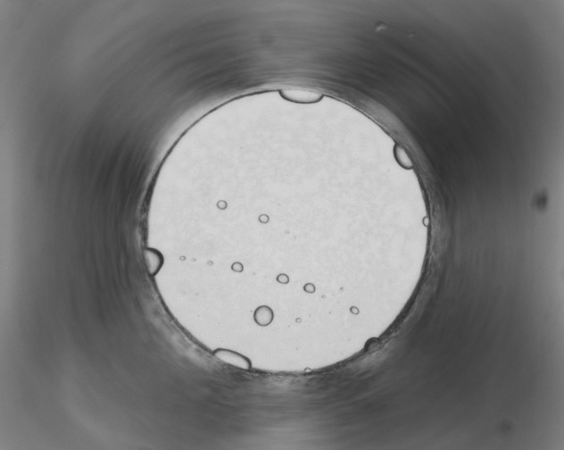 X0000115630908200912221246
