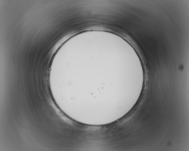 X0000115630909200912221246
