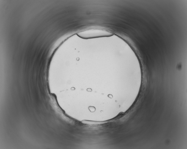 X0000115630910200912221246