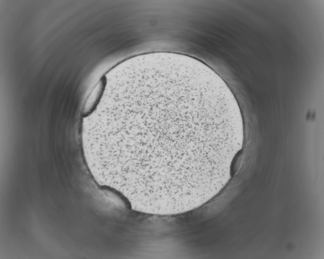 X0000115630912200912221246