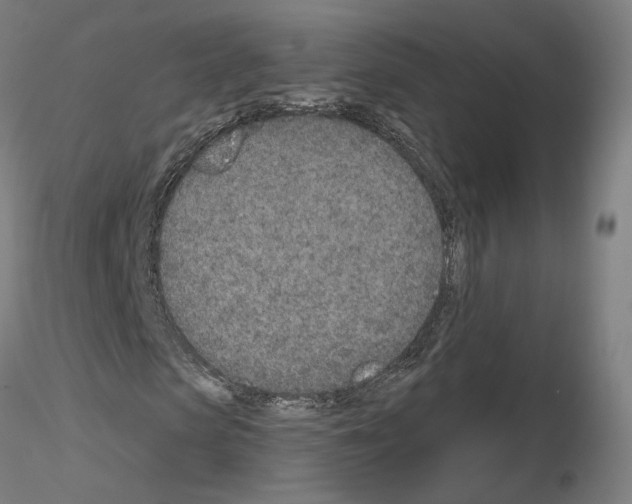 X0000115630913200912221246