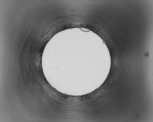 X0000115630914200912221246