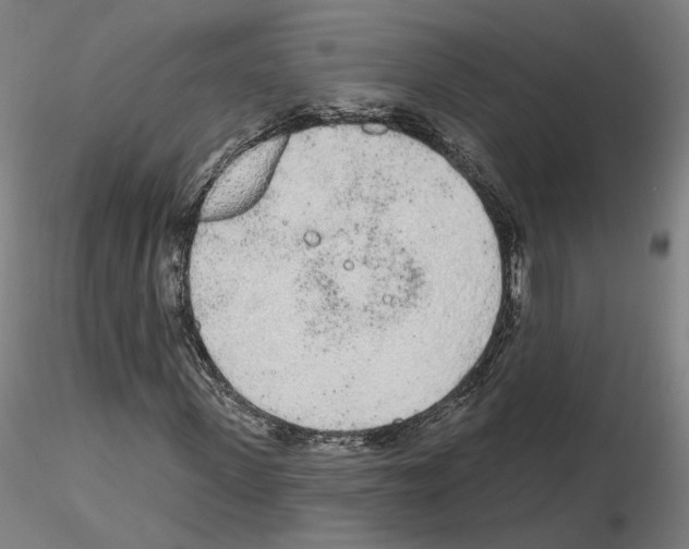 X0000115630915200912221246