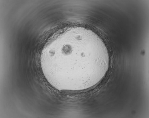 X0000115630917200912221246