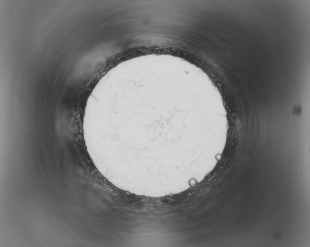 X0000115630918200912221246
