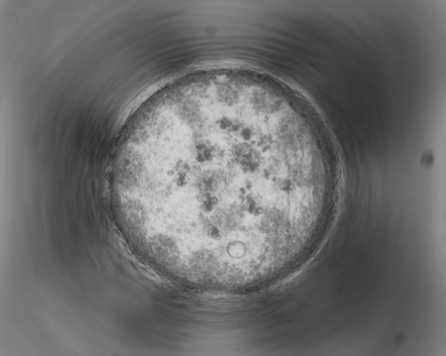 X0000115630921200912221246