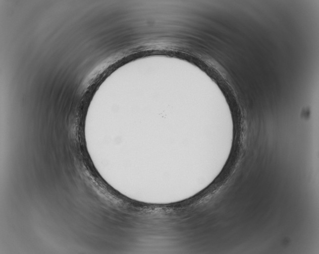 X0000115630922200912221246