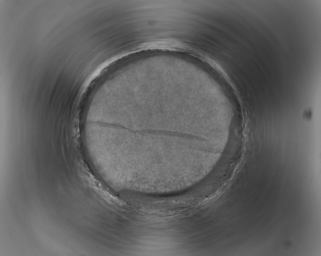 X0000115630923200912221246
