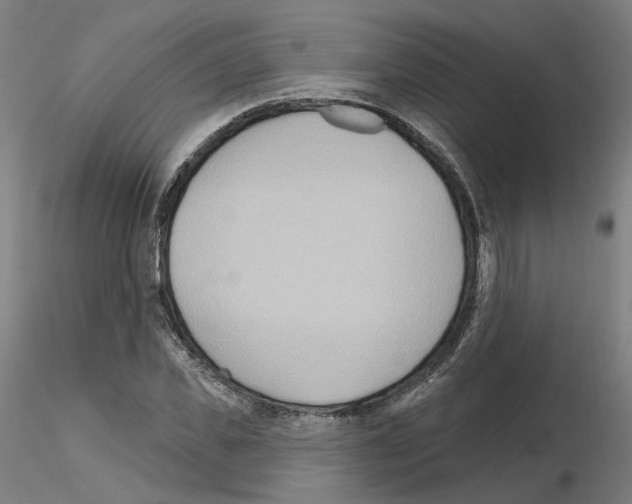 X0000115630925200912221246