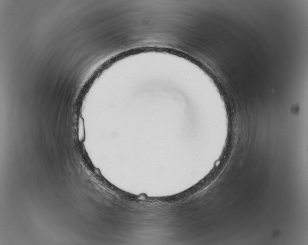 X0000115630926200912221246