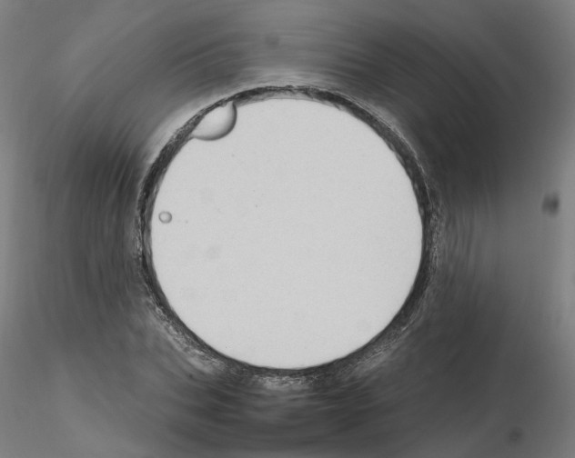 X0000115630927200912221246