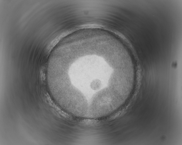 X0000115630929200912221246
