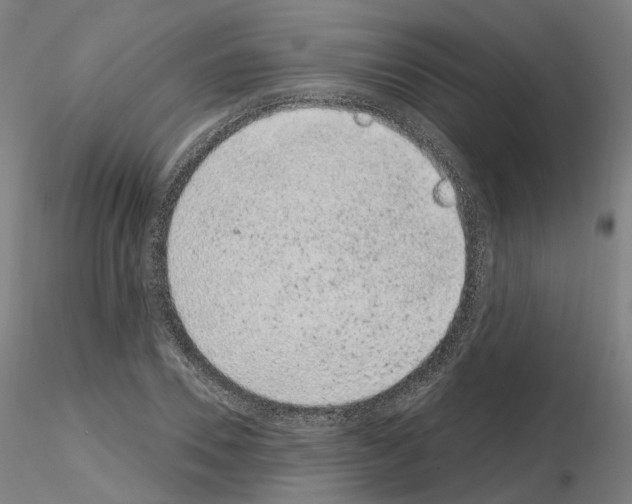 X0000115630930200912221246