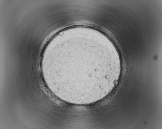 X0000115630931200912221246