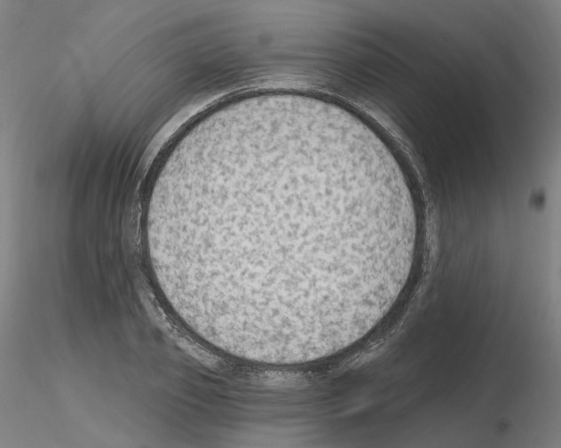 X0000115630933200912221246