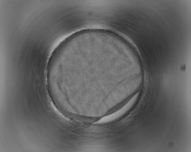 X0000115630935200912221246