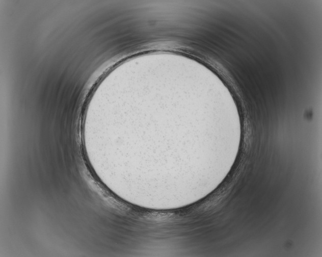 X0000115630939200912221246