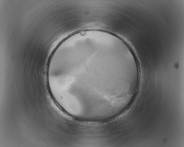 X0000115630941200912221246