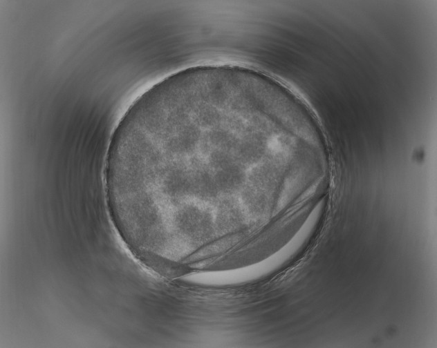 X0000115630943200912221246