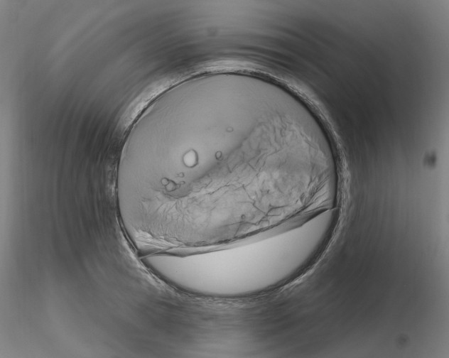 X0000115630945200912221246