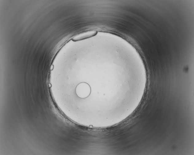 X0000115630946200912221246