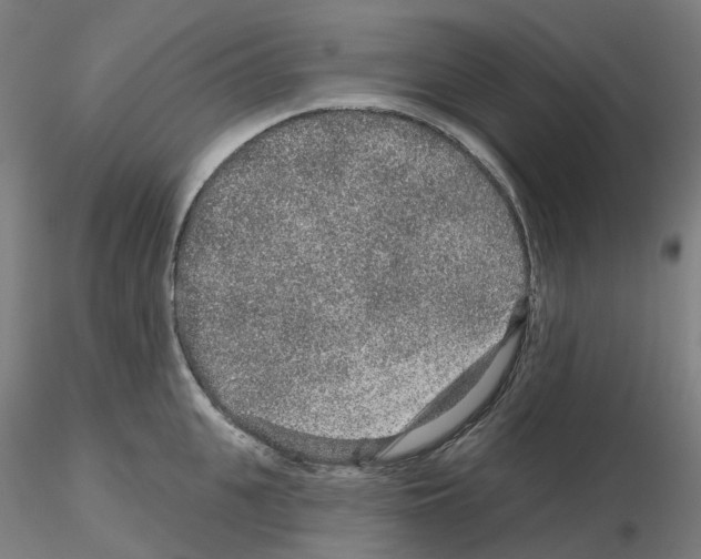 X0000115630951200912221246