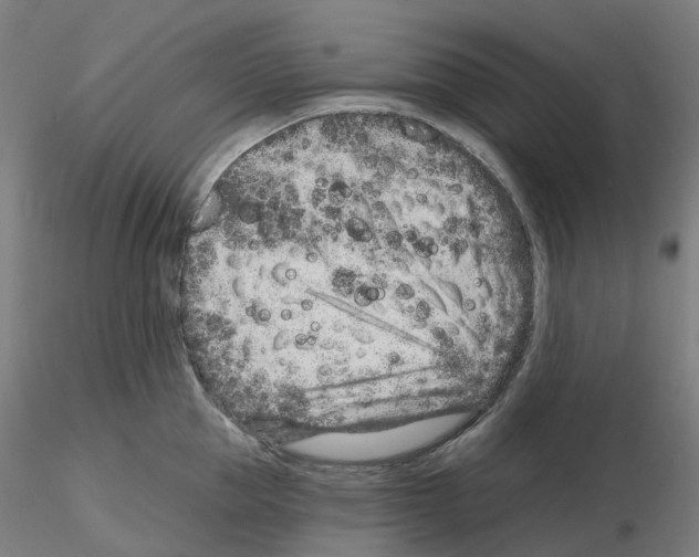 X0000115630953200912221246