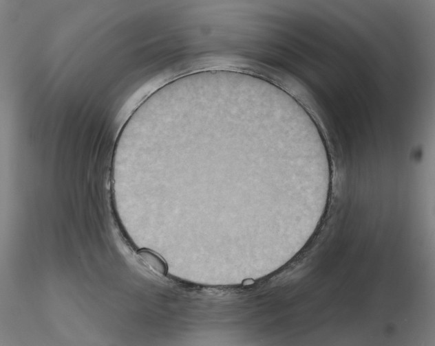X0000115630954200912221246