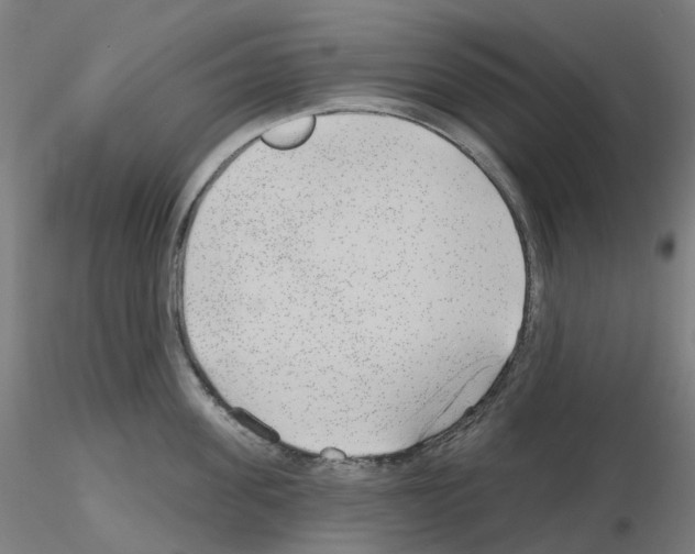 X0000115630955200912221246