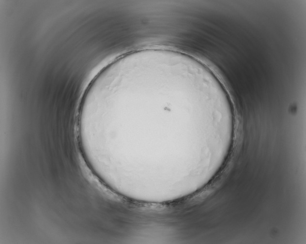 X0000115630957200912221246