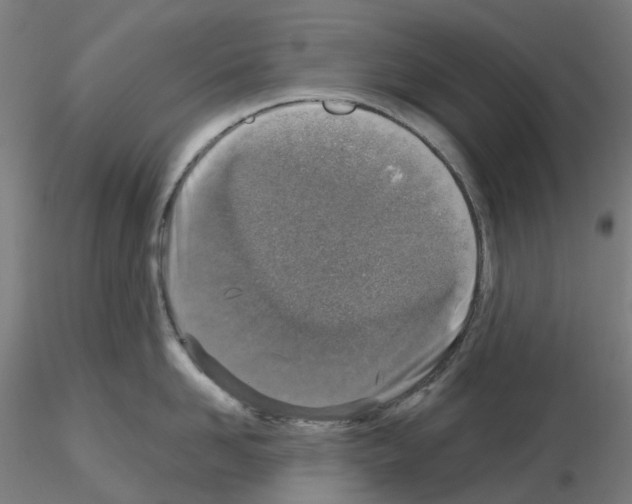 X0000115630958200912221246