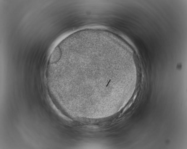 X0000115630959200912221246
