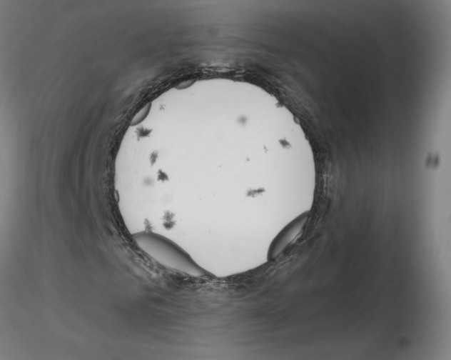 X0000115630961200912221246