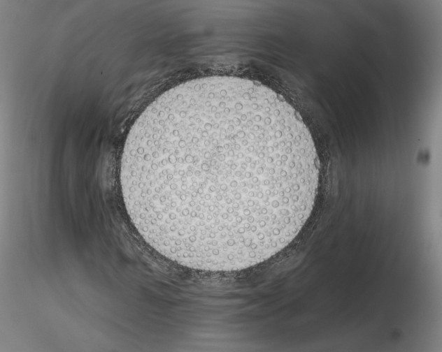 X0000115630962200912221246