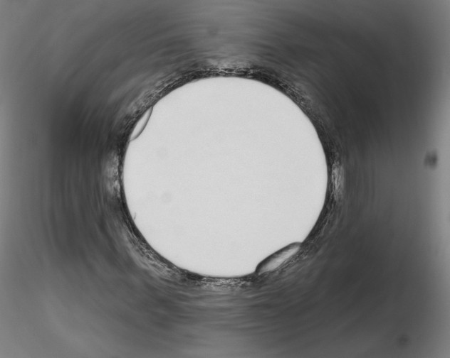 X0000115630963200912221246