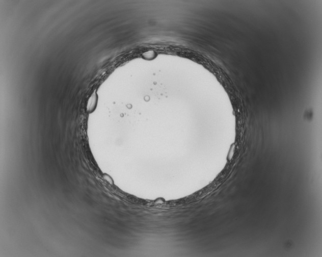 X0000115630965200912221246