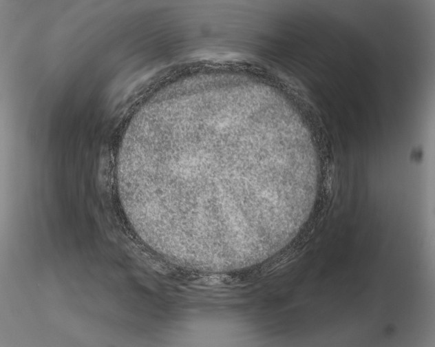 X0000115630966200912221246