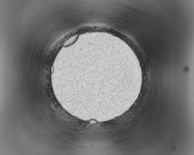 X0000115630967200912221246