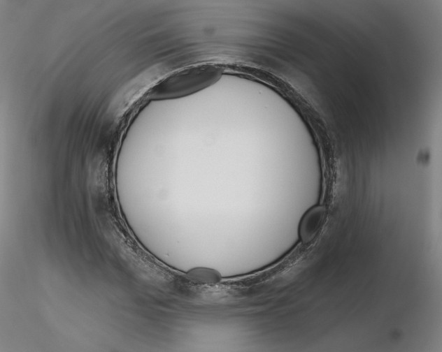 X0000115630969200912221246